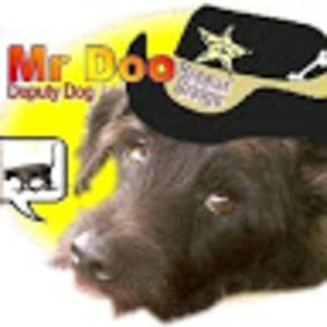 Meet your Posher, Tom loefgren